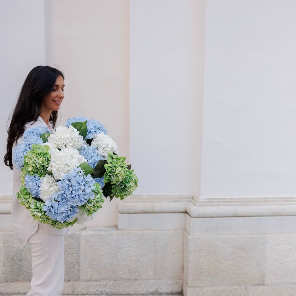 Hortensia Bleu Clair