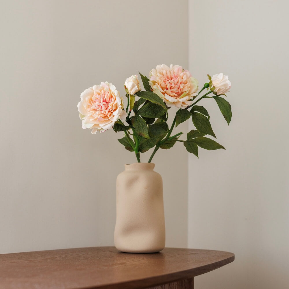 Pivoine Pêche