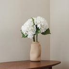 Hortensia Blanc