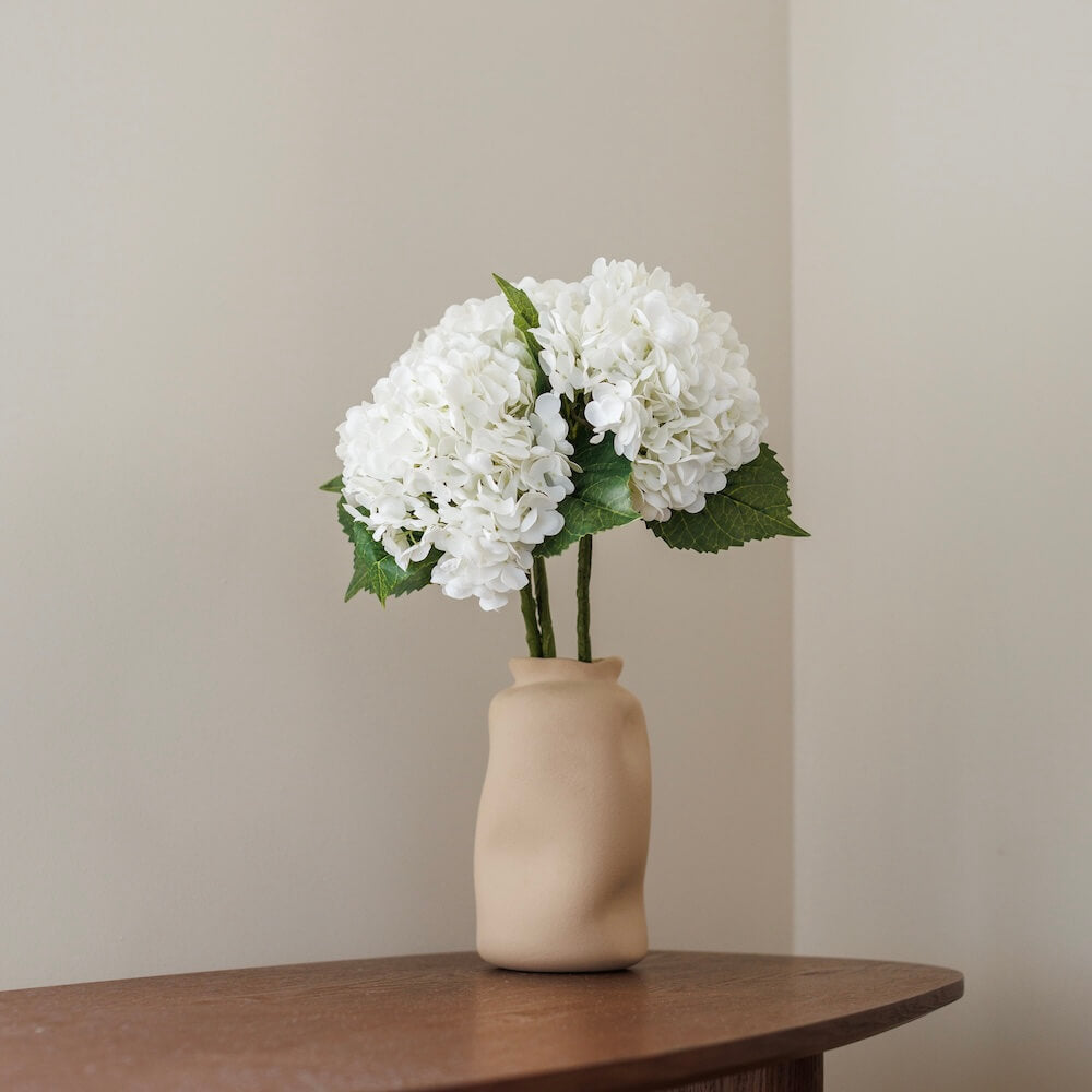 Hortensia Blanc