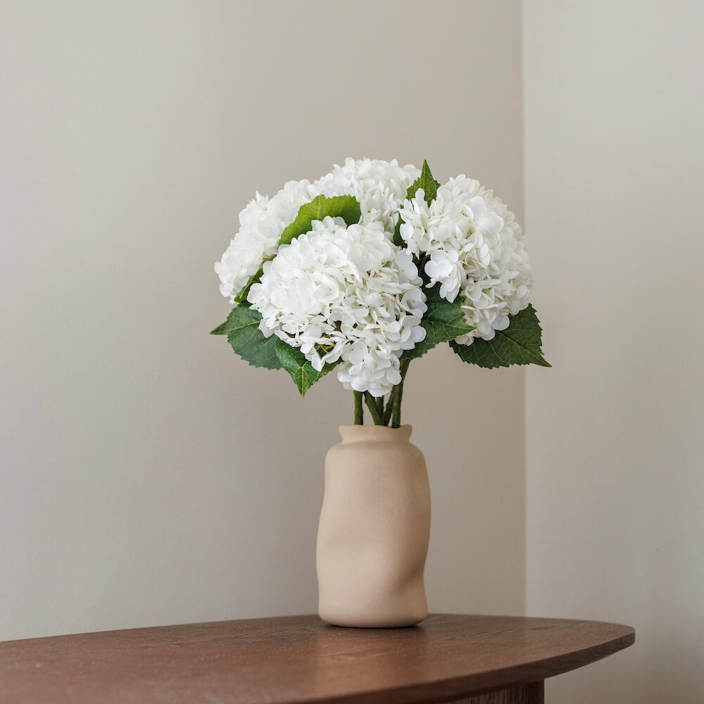 Hortensia Blanc