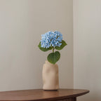 Hortensia Bleu Clair