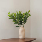 Ruscus Artificiel Vert