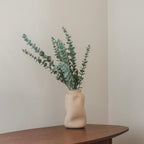 Eucalyptus Baby Vert