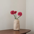 Oeillet Rose Foncé