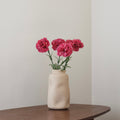 Oeillet Rose Foncé