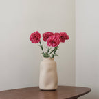 Oeillet Rose Foncé