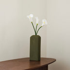 Arum Blanc