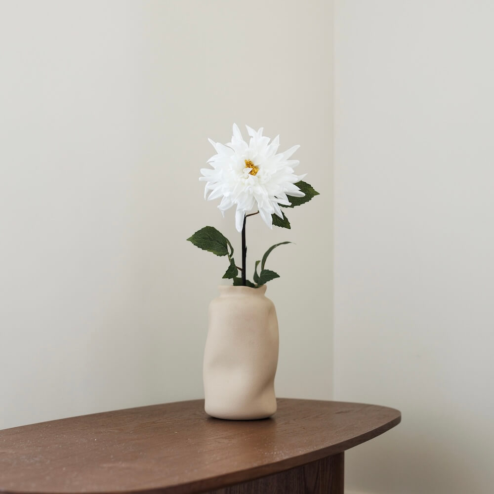 Dahlia Blanc
