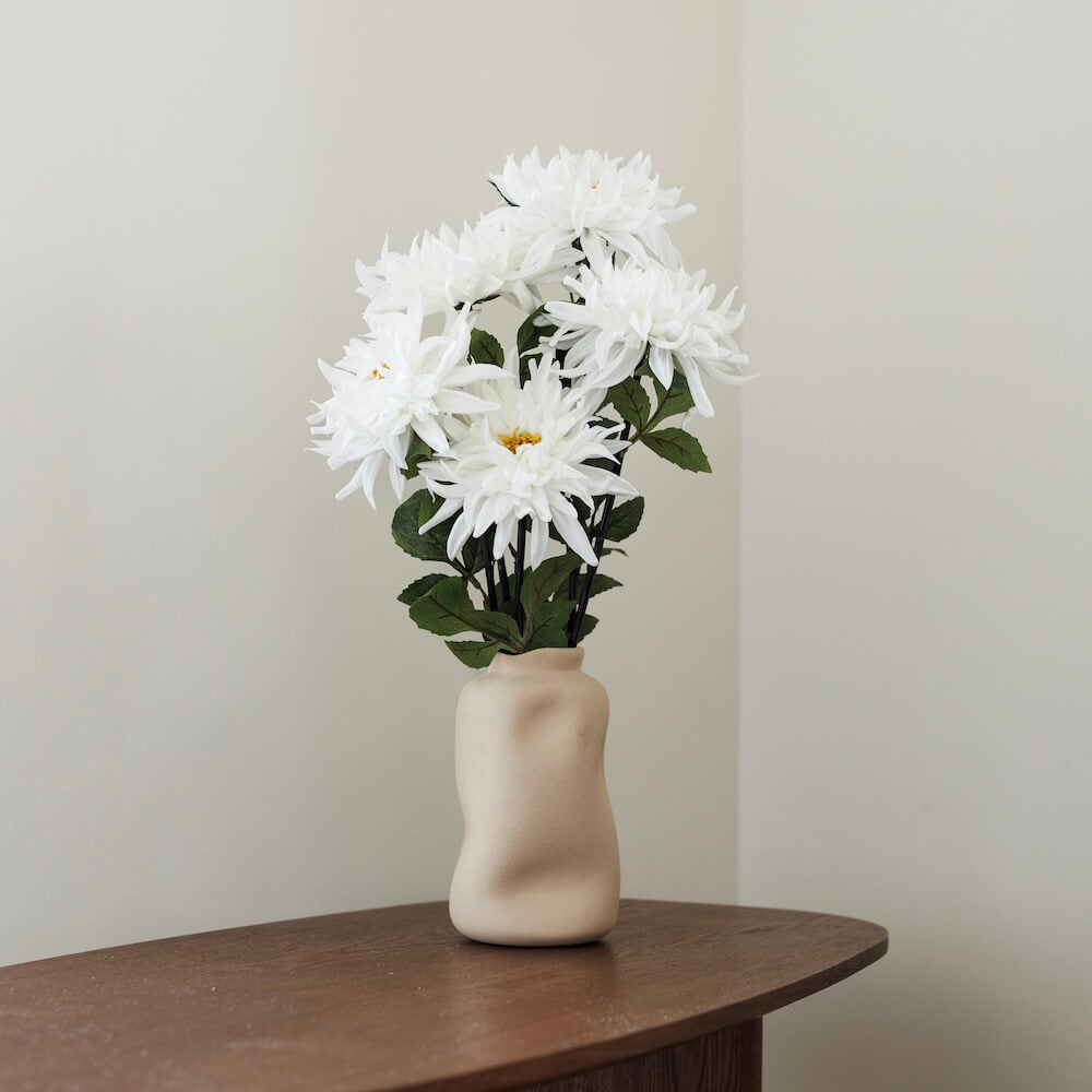 Dahlia Blanc