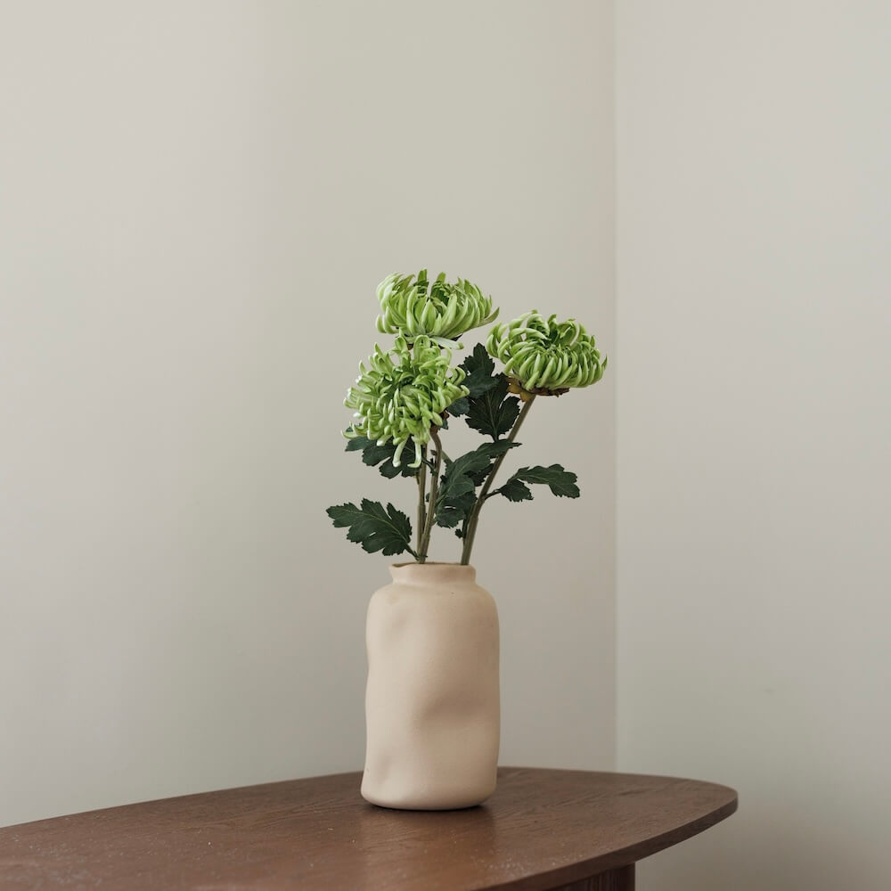 Chrysanthème Vert