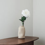 Chrysanthème Blanc
