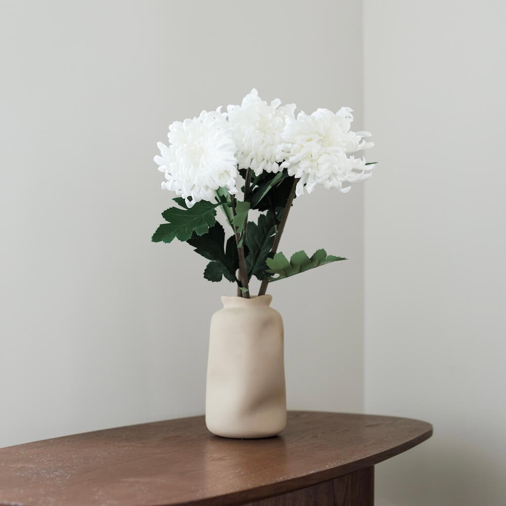 Chrysanthème Blanc