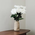 Chrysanthème Blanc