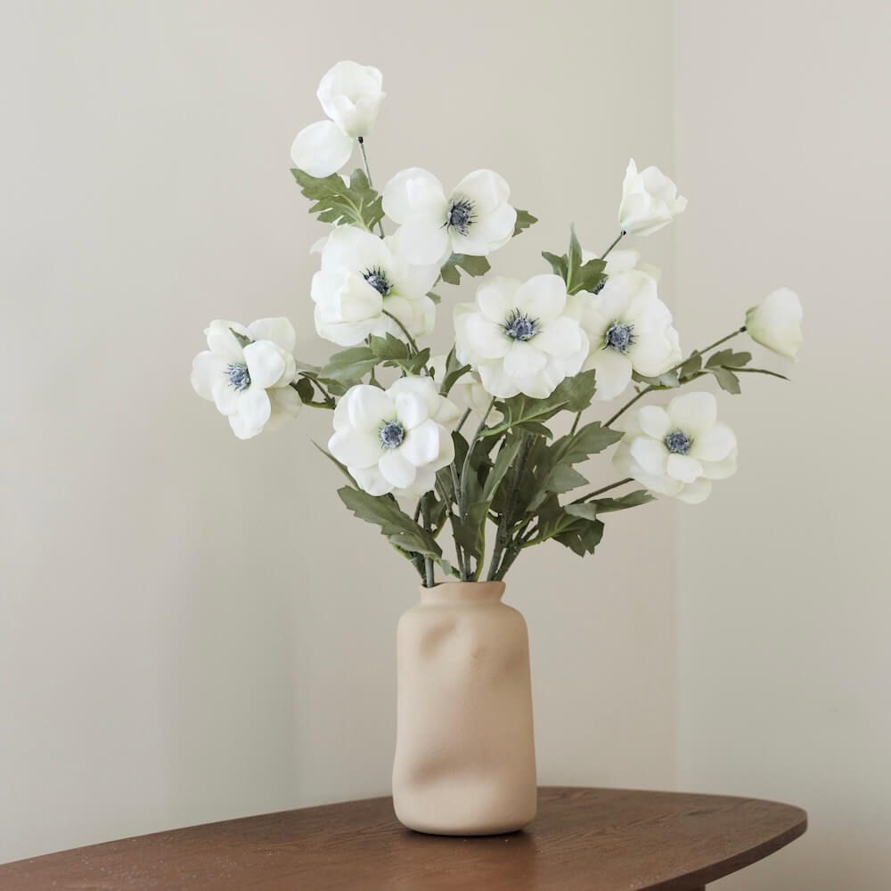 Anémone Blanche