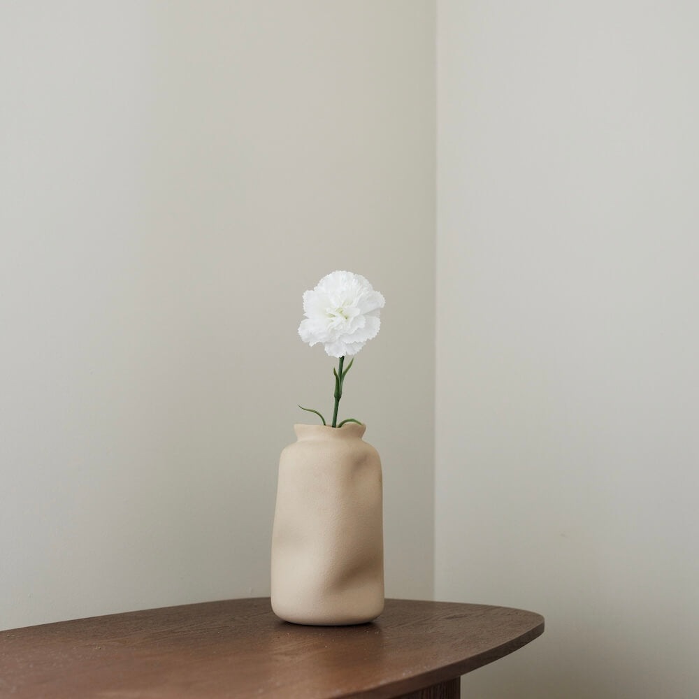 Oeillet Blanc