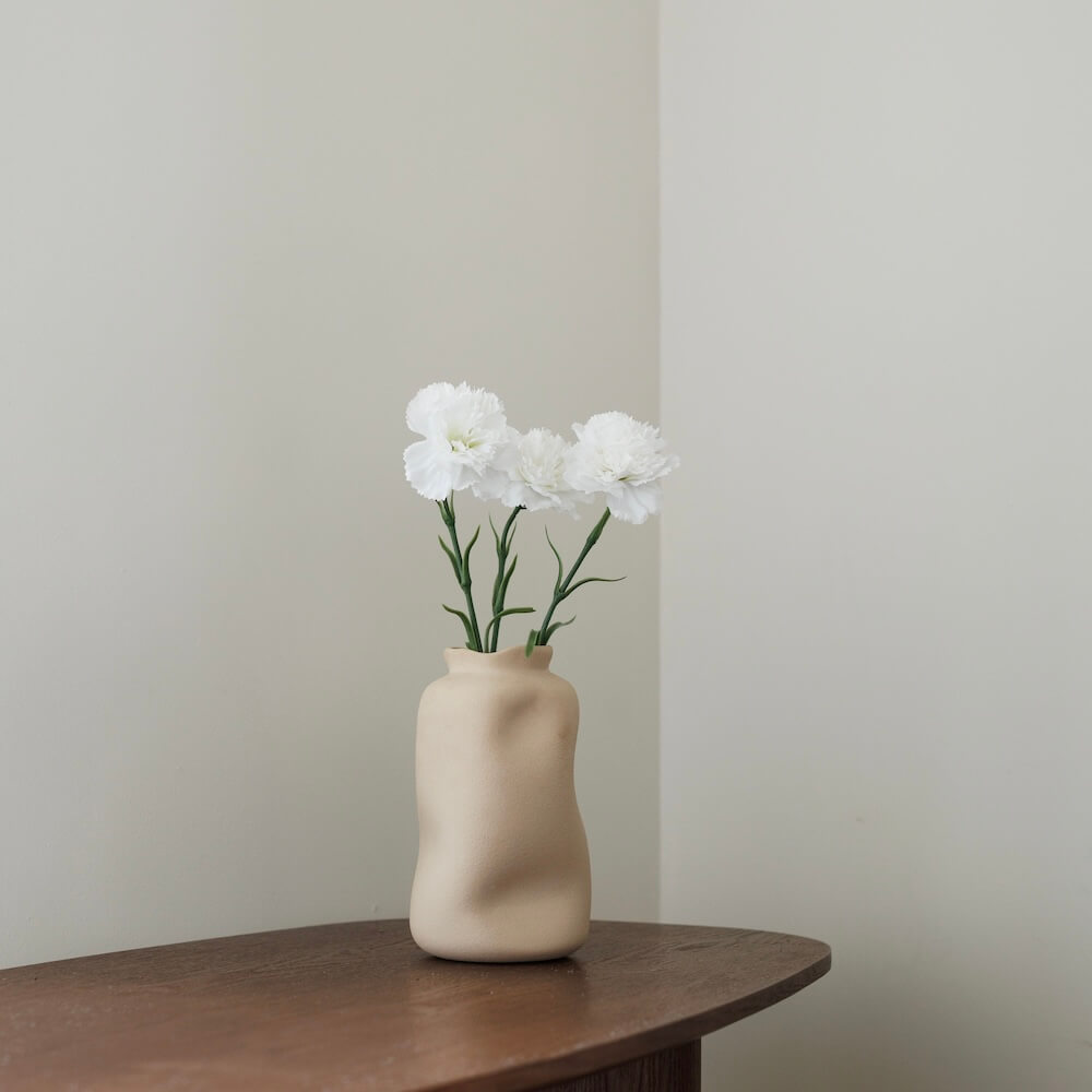 Oeillet Blanc