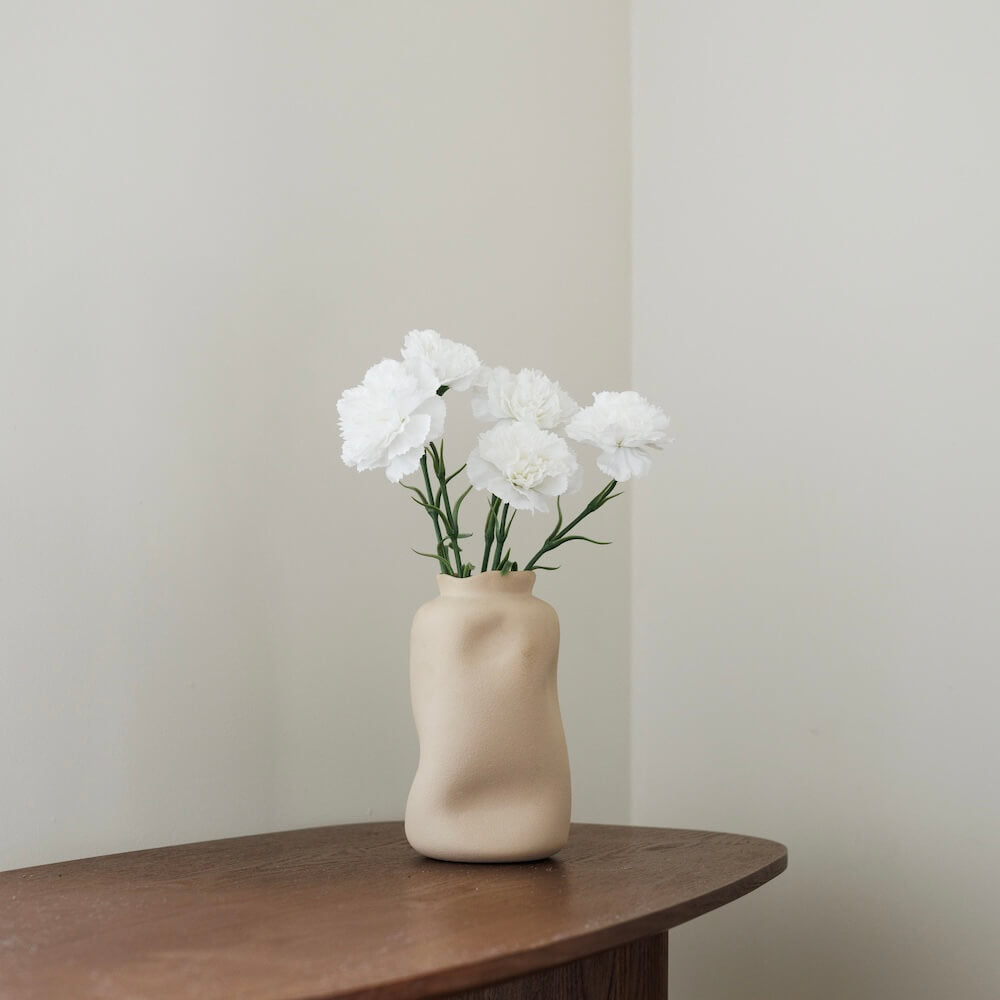 Oeillet Blanc