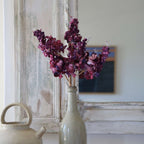 Hortensia Paniculé En Papier Violet