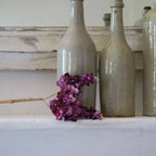 Hortensia Paniculé En Papier Violet