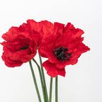 Coquelicot En Papier Rouge