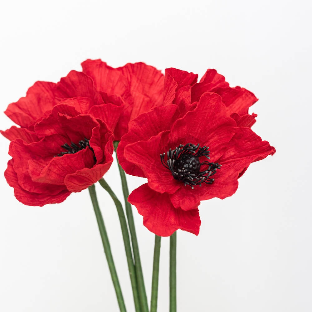 Coquelicot En Papier Rouge