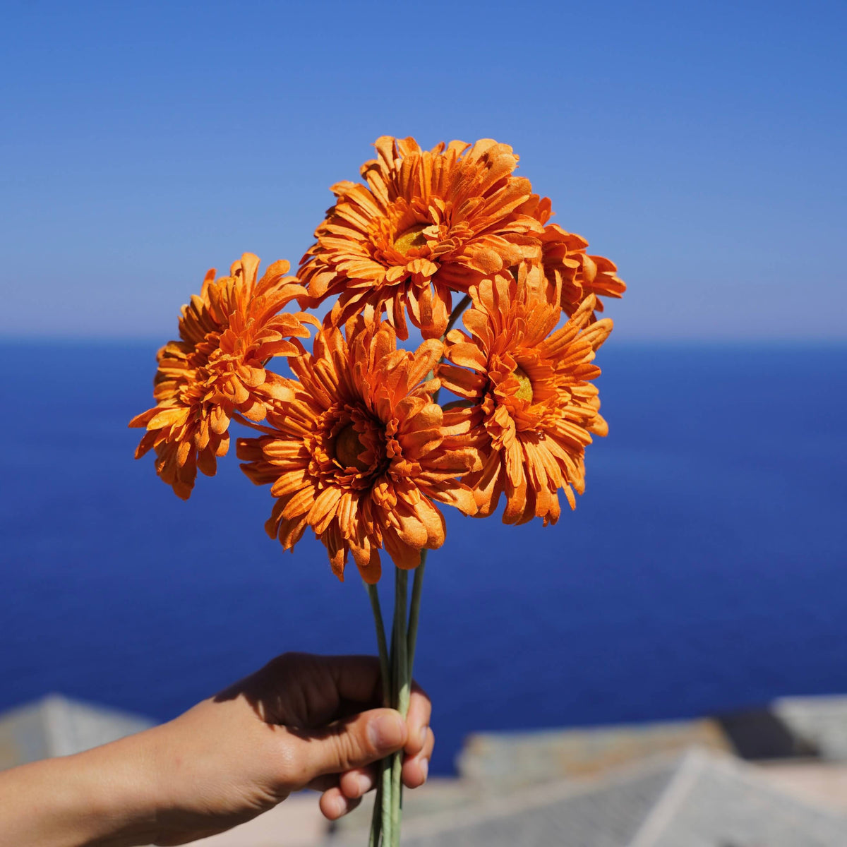 Gerbera En Papier Orange
