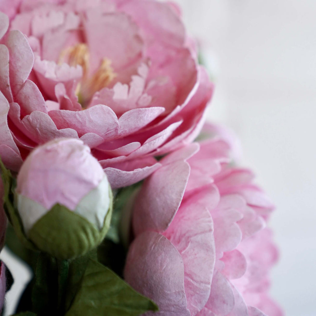 Grande Pivoine En Papier Rose Clair