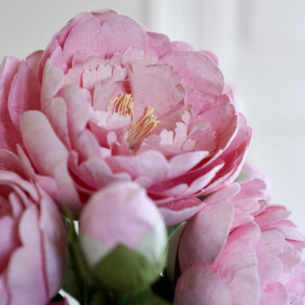 Grande Pivoine En Papier Rose Clair