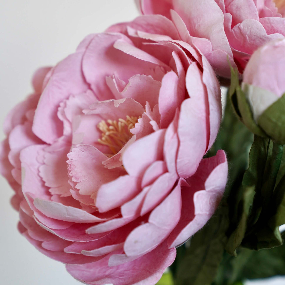 Grande Pivoine En Papier Rose Clair