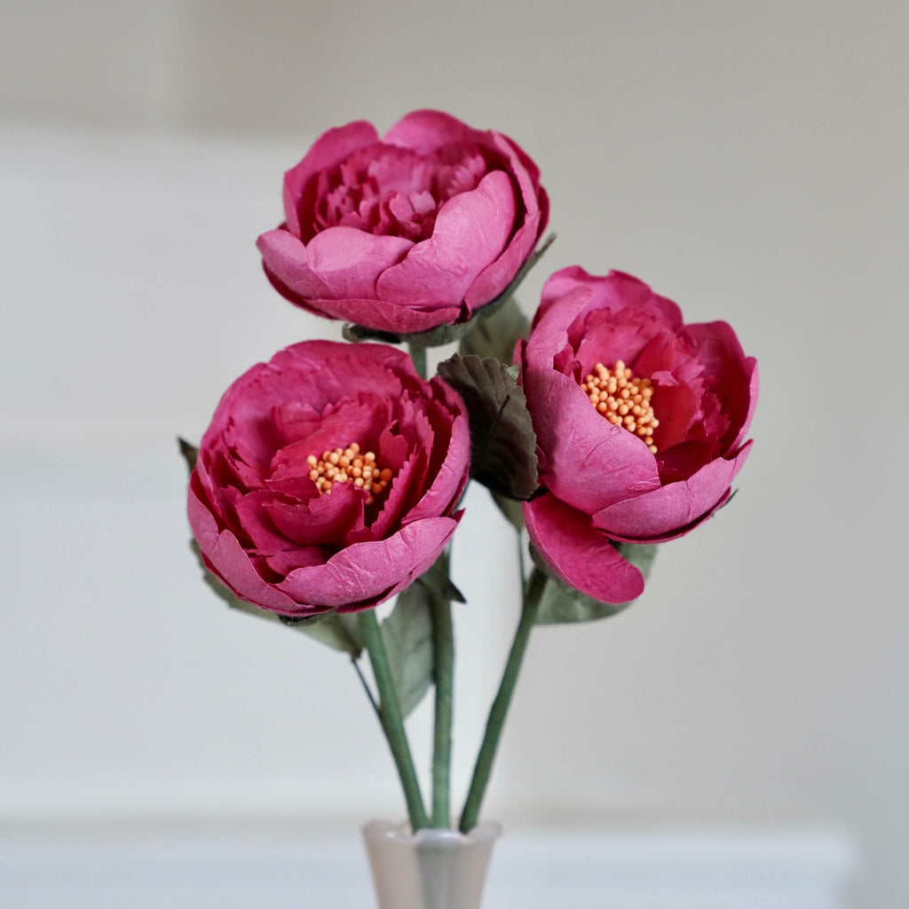 Pivoine De Jardin En Papier Fuchsia