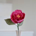 Pivoine De Jardin En Papier Fuchsia