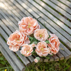 Rose Caroline En Papier Abricot