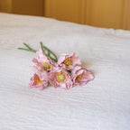 Pavot En Papier Rose Clair