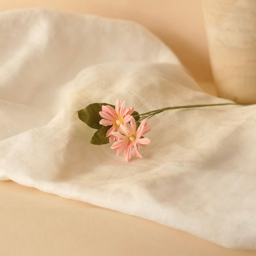 Marguerites Sauvages En Papier Rose Clair