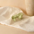 Eucalyptus Cinerea En Papier Vert Olive