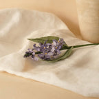 Lila En Papier Violet