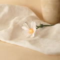 Cosmos En Papier Blanc