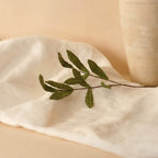 Feuillage En Papier Vert