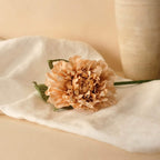 Dahlia En Papier Beige