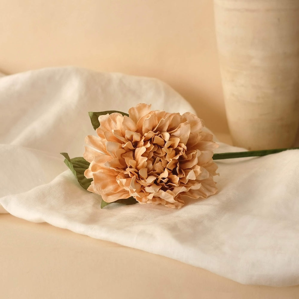 Dahlia En Papier Beige
