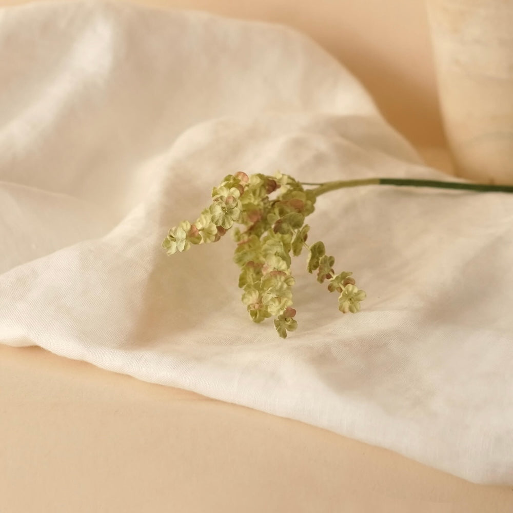 Brins D'Astilbe En Papier Vert