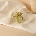 Brins D'Astilbe En Papier Vert