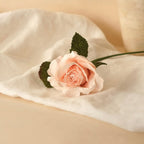 Petite Rose Lady En Papier Champagne