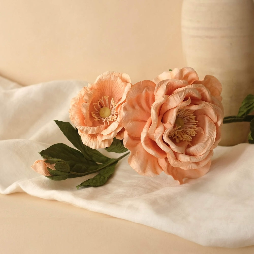 Rose Caroline En Papier Abricot
