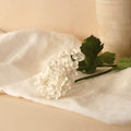 Viburnum En Papier Blanc