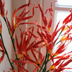 Orchidée De La Passion En Papier Orange