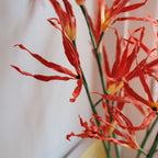 Orchidée De La Passion En Papier Orange