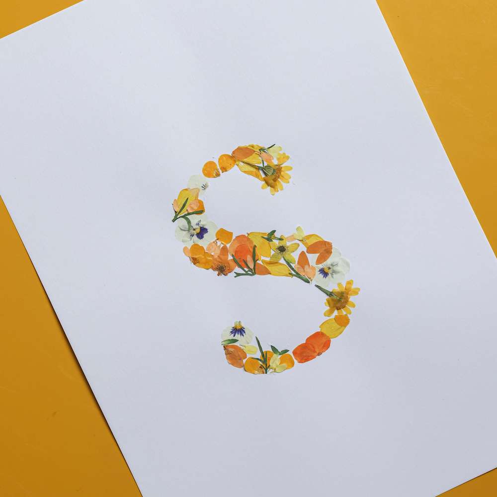 Kit Diy Herbier Abécédaire Jaune