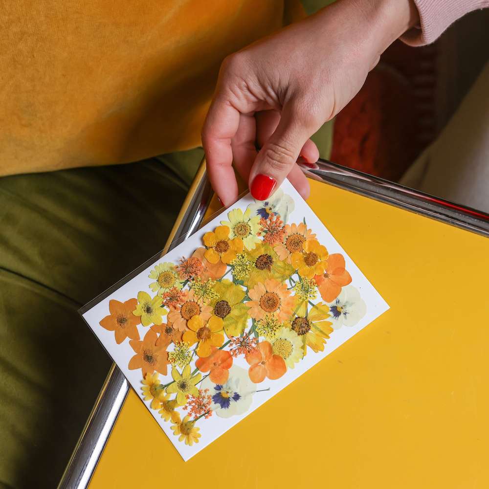 Kit Diy Herbier Abécédaire Jaune